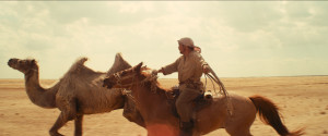 Celestial Camel_Still_1