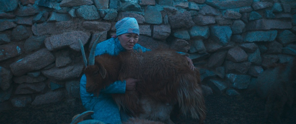 Film Landscape Image