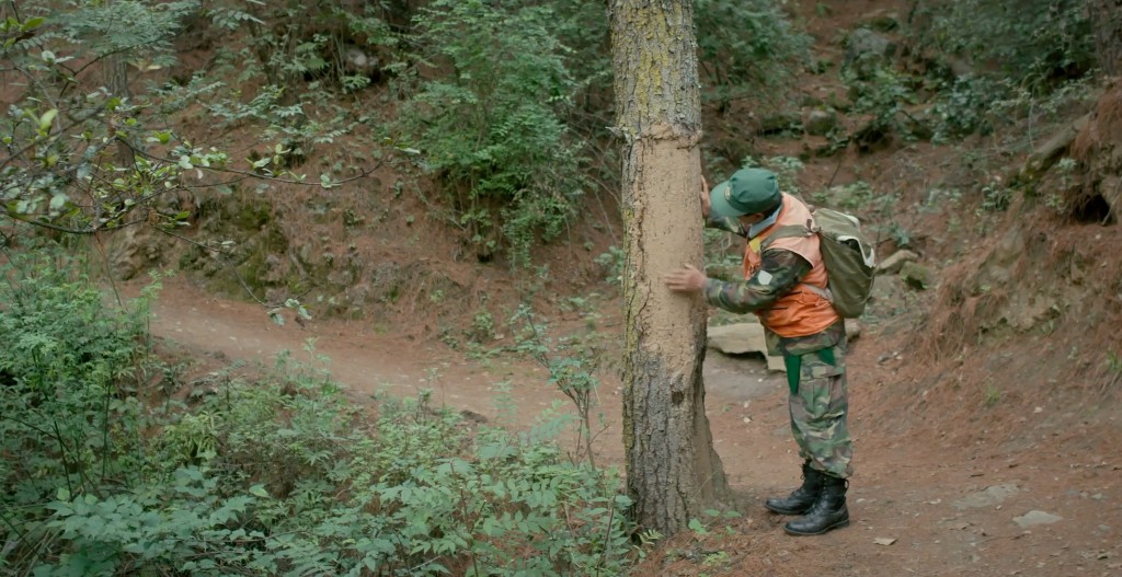 Film Landscape Image