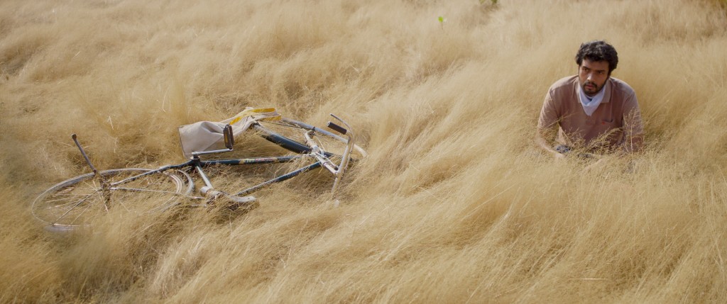 Film Landscape Image