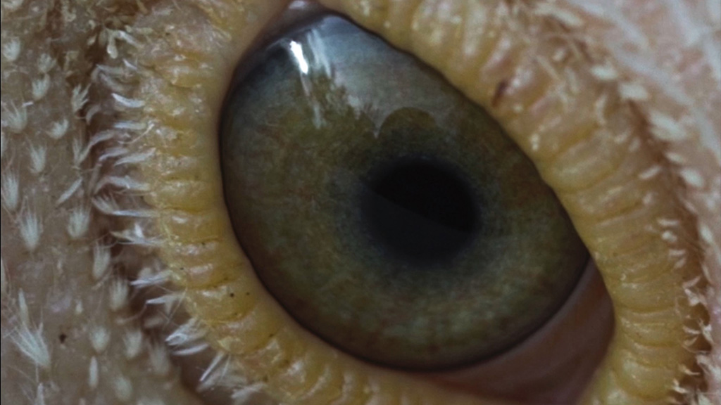 Film Landscape Image