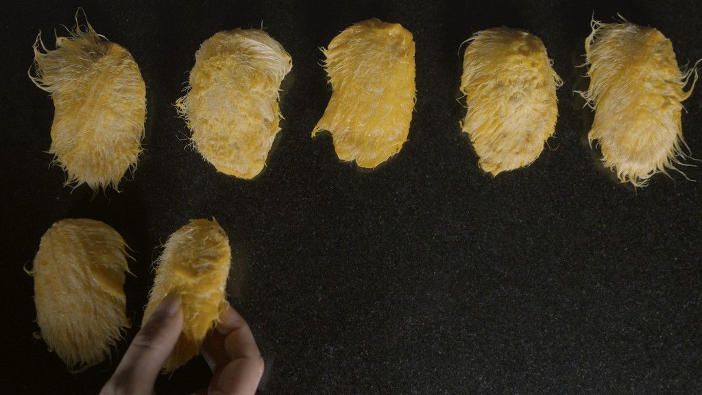 Film Landscape Image