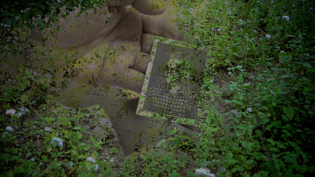 Film Landscape Image