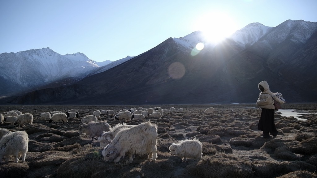 Poster - Between Herds and Horizon