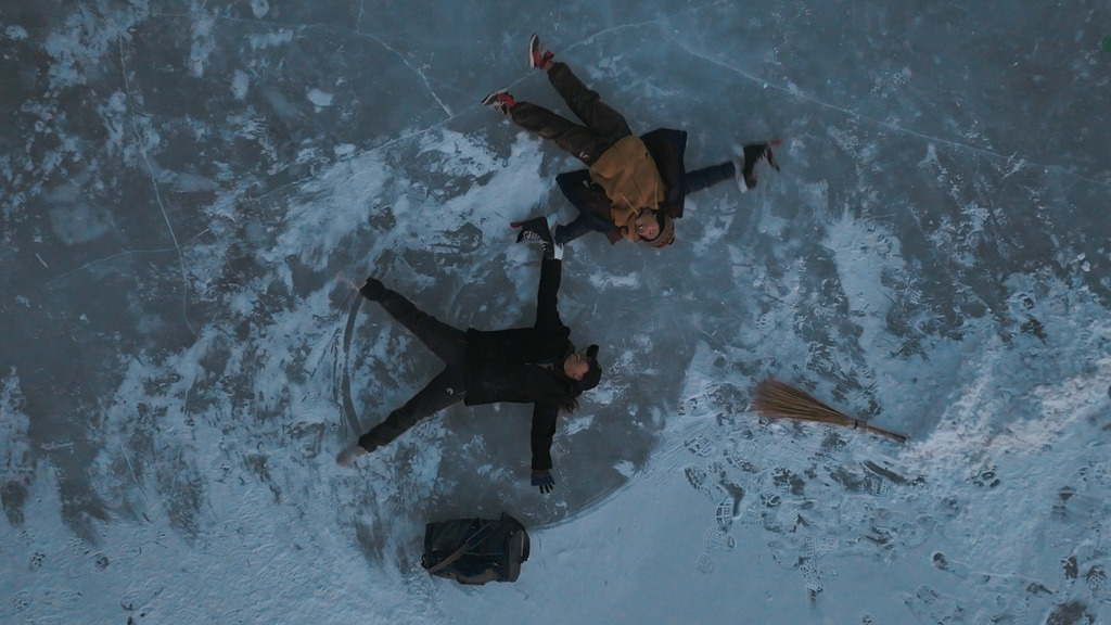 Poster - Birds on Ice