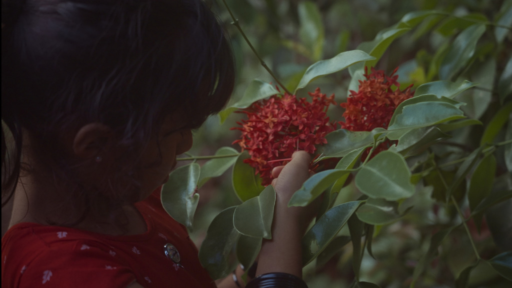 Poster - Burning Roots, Blooming Fire | Aadhunika Mithyabhasam